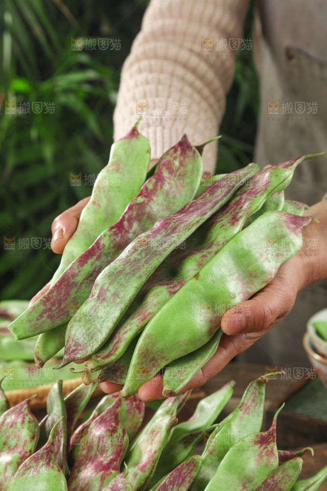 油豆角