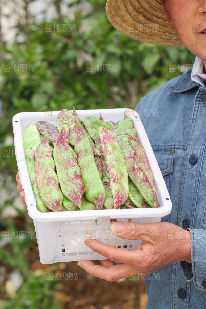 油豆角