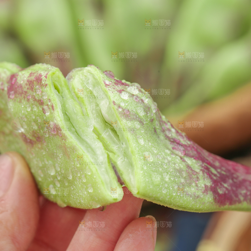 油豆角