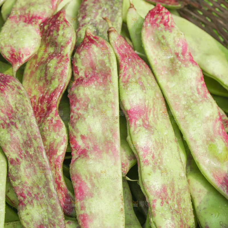 油豆角
