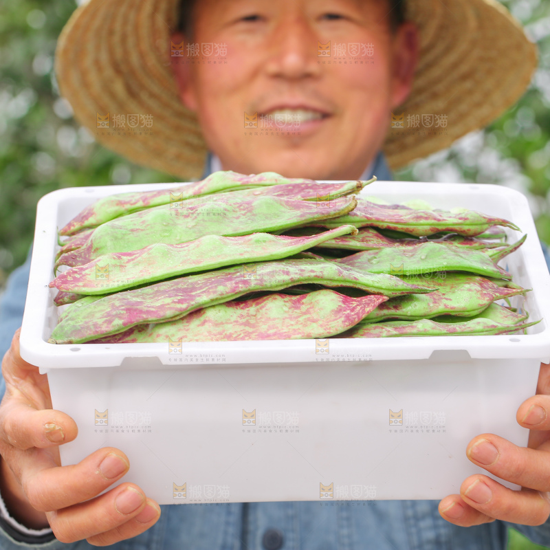 油豆角