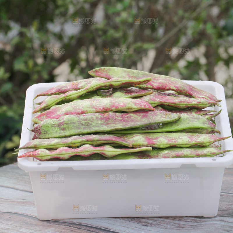 油豆角