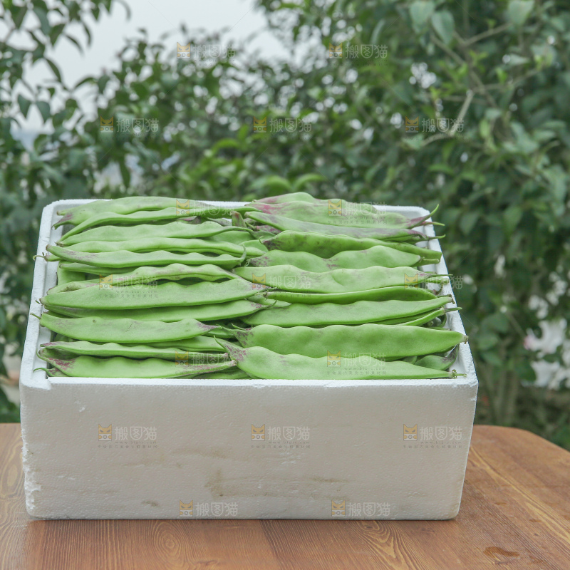 油豆角