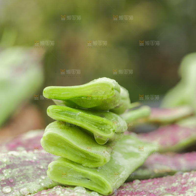 油豆角