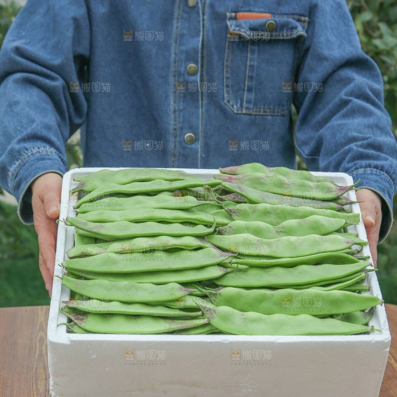 油豆角