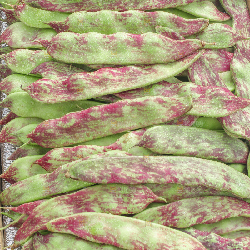 油豆角