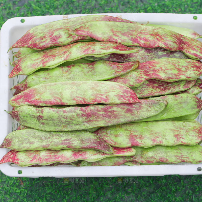 油豆角