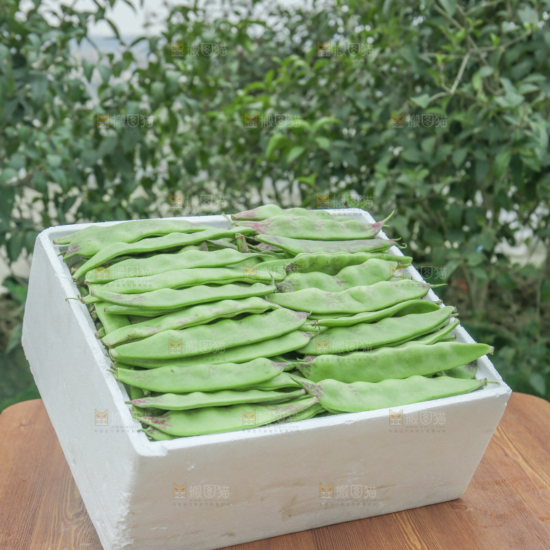 油豆角
