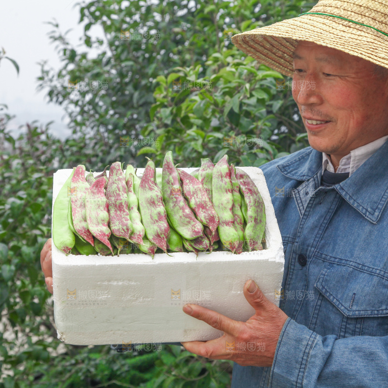 油豆角
