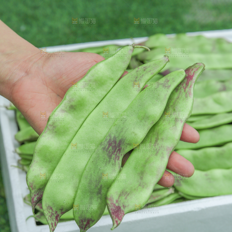 油豆角