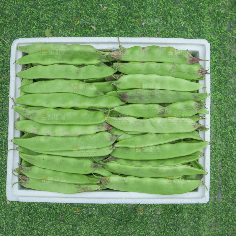 油豆角