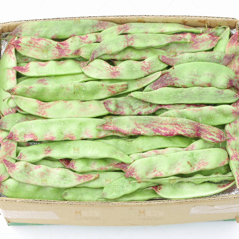 油豆角