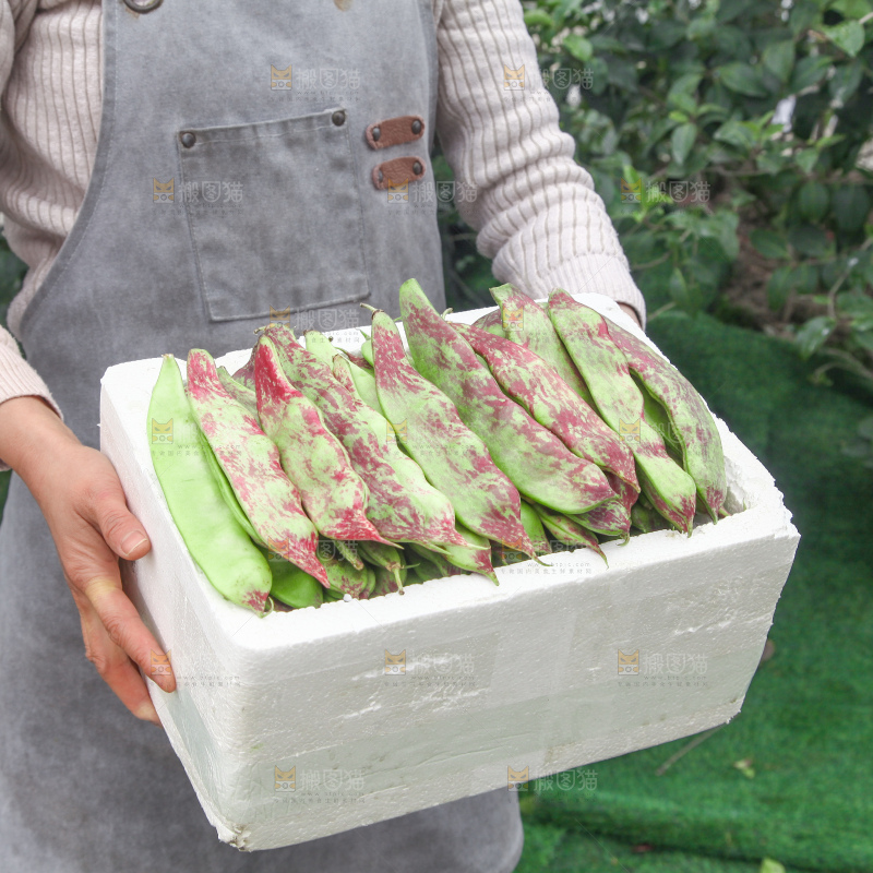 油豆角