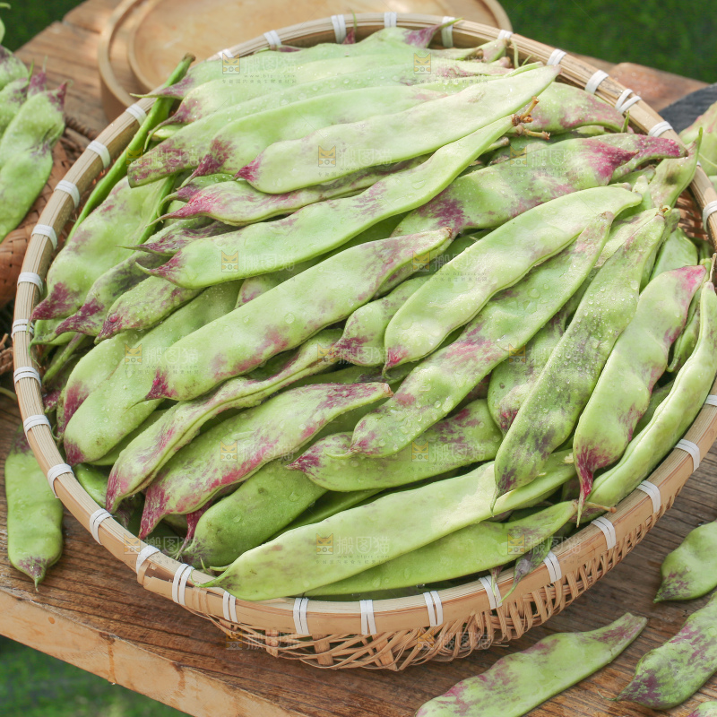 油豆角