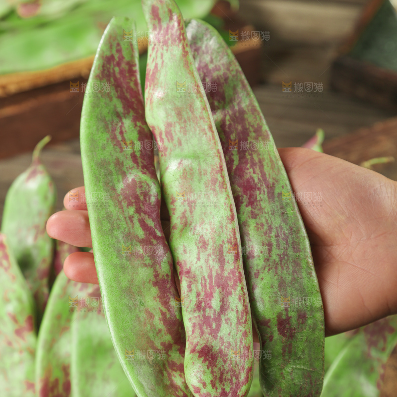 油豆角