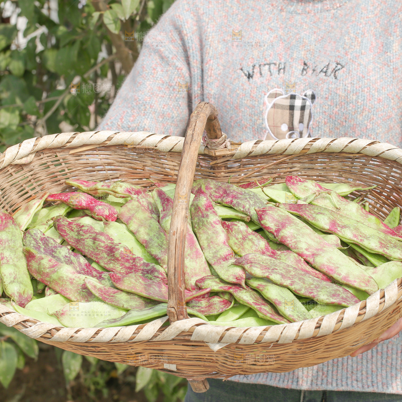 油豆角