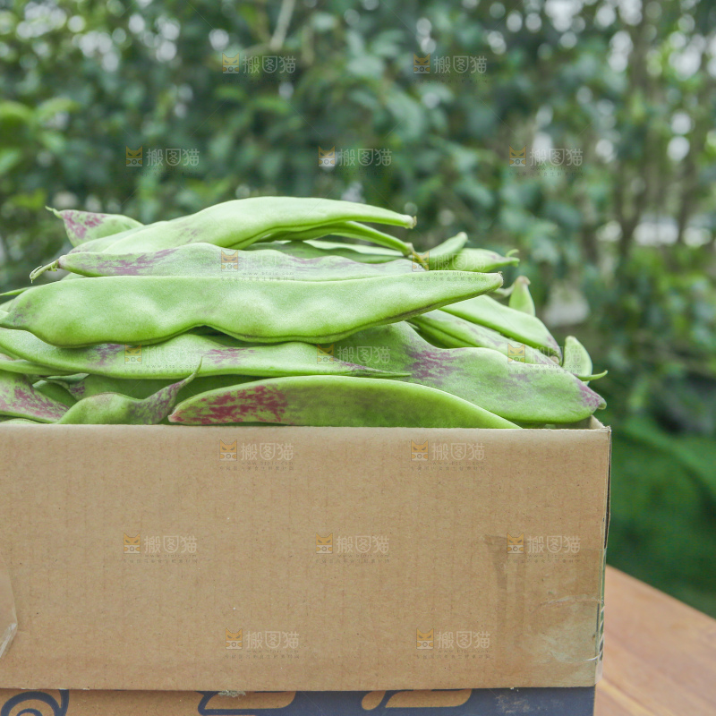 油豆角