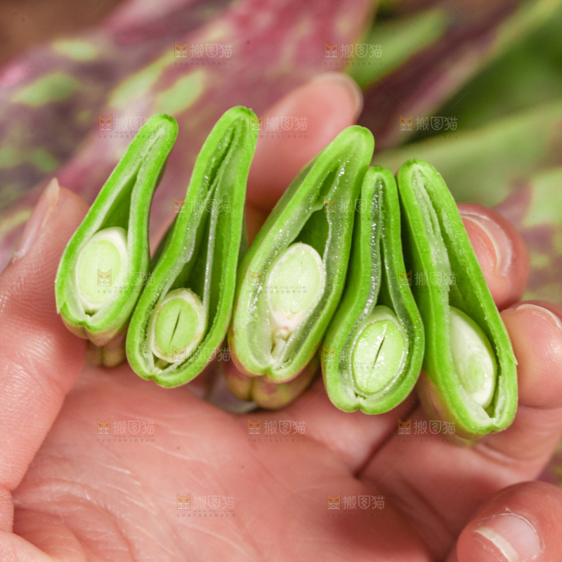 油豆角