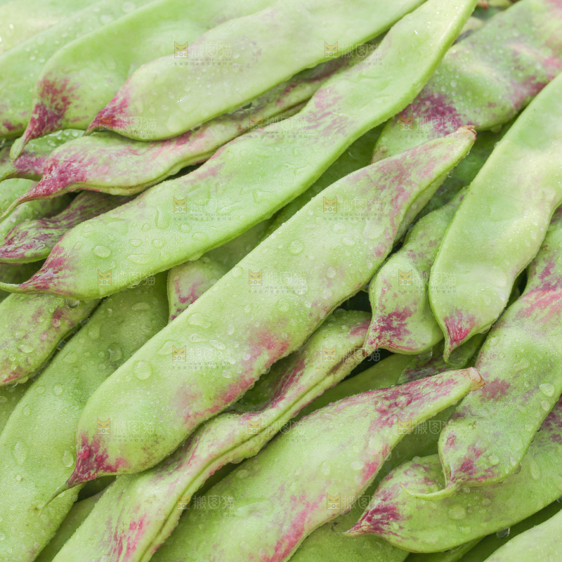 油豆角
