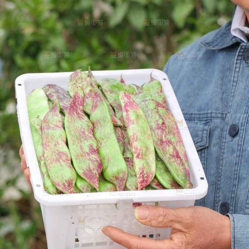 油豆角