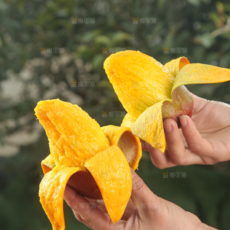 贵妃芒