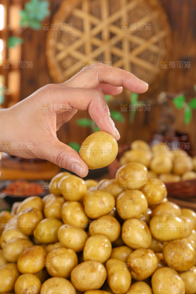 小土豆