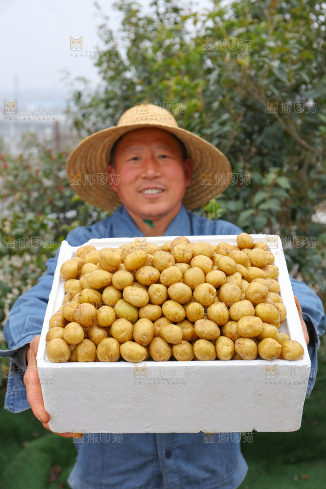 小土豆