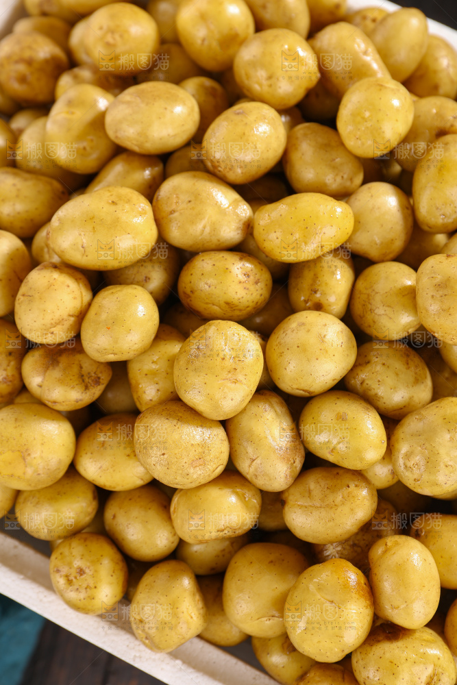 小土豆