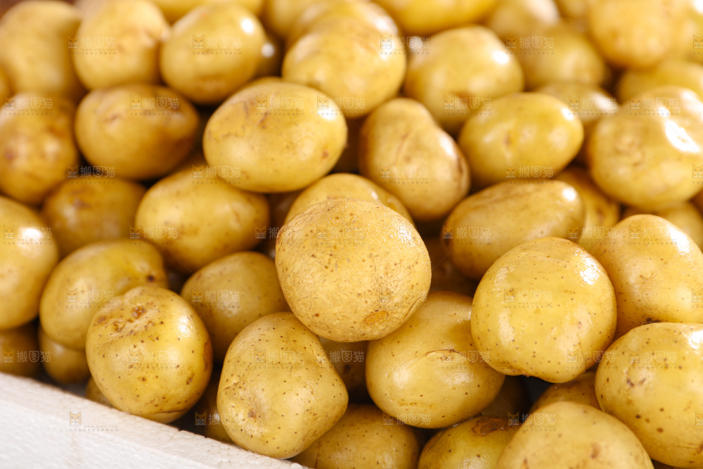 小土豆