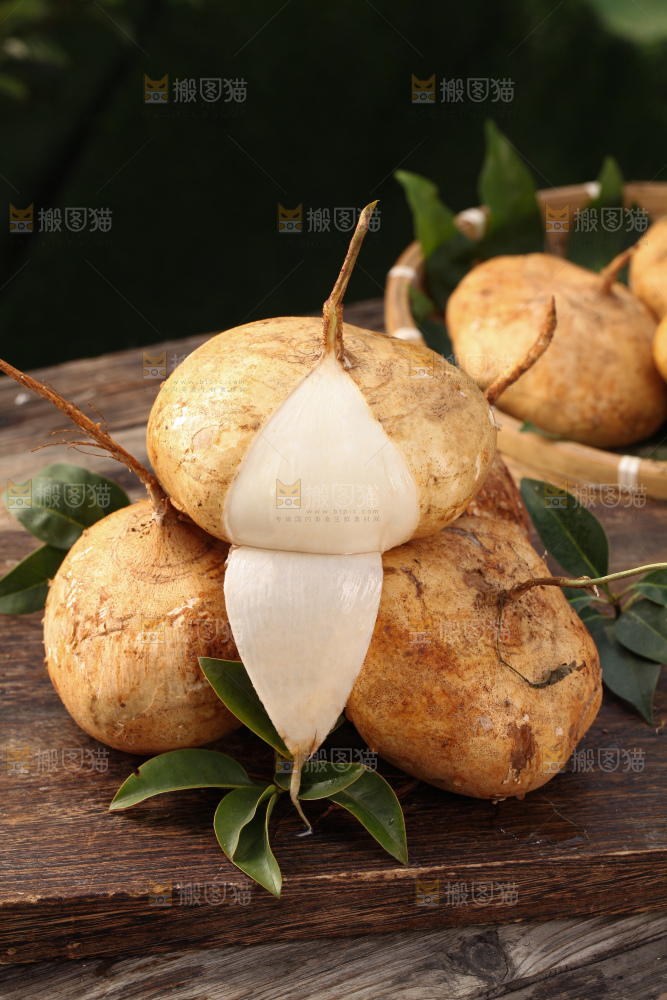凉薯