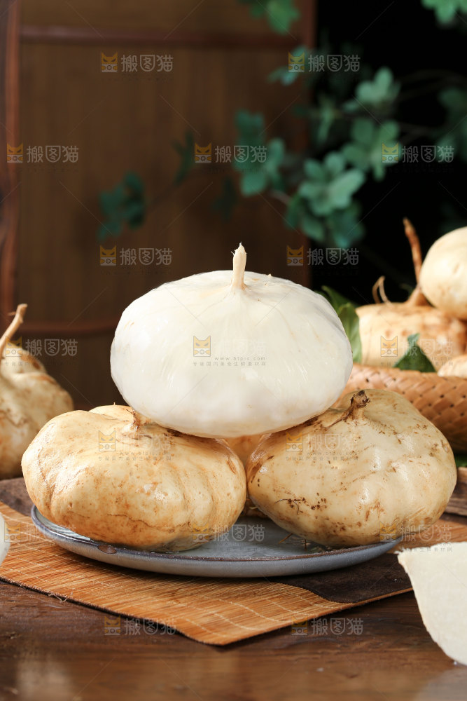 凉薯