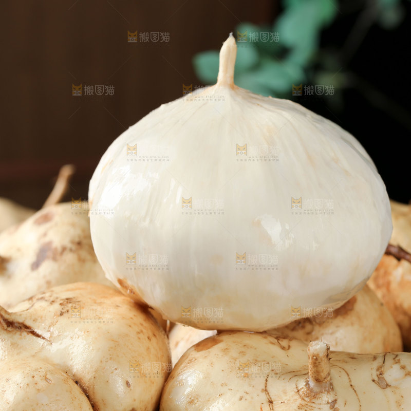 凉薯