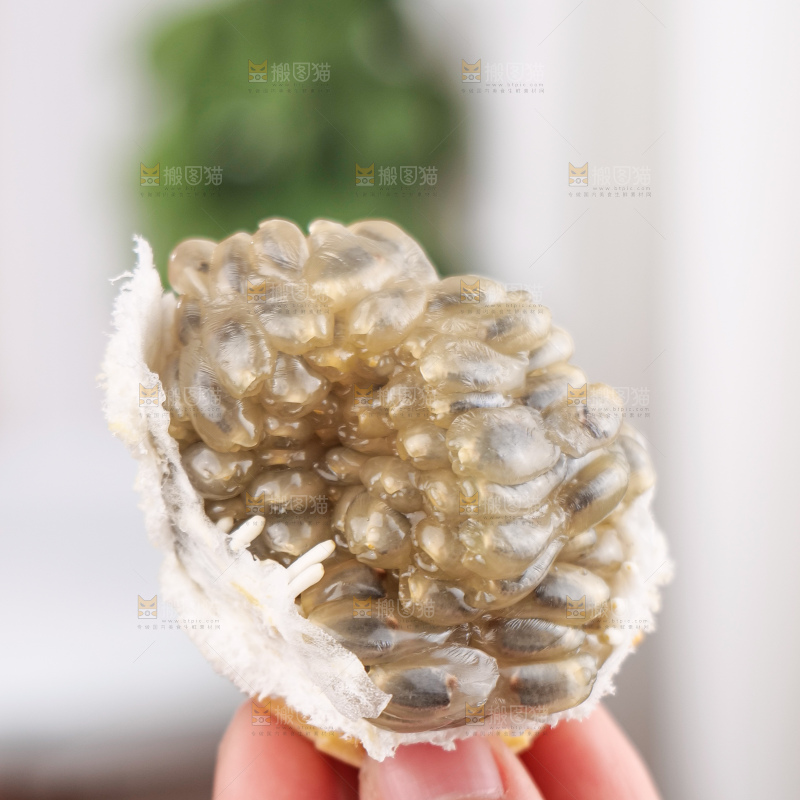 热情果