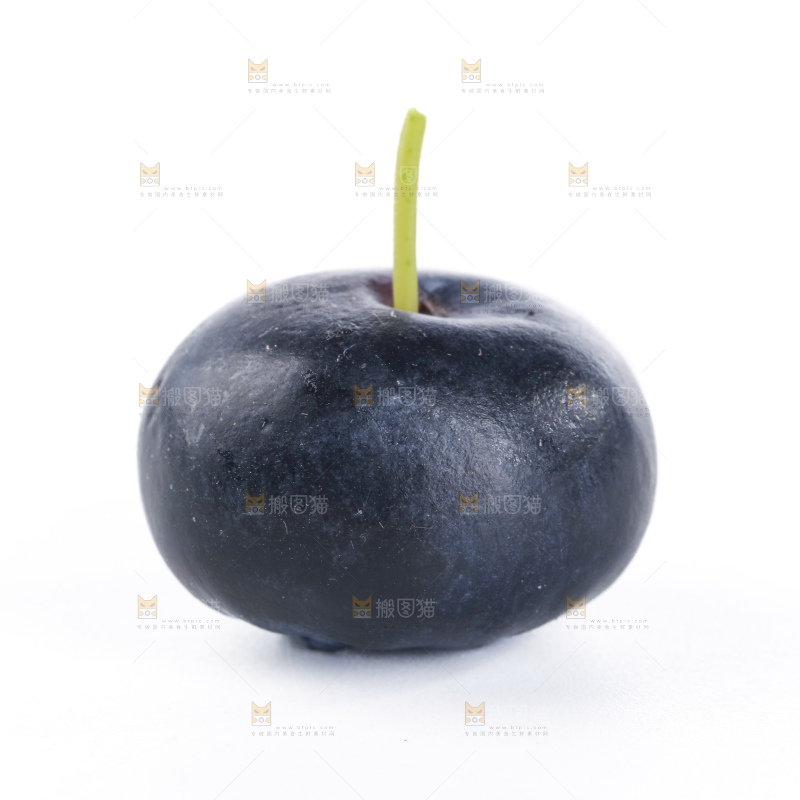 带杆蓝莓