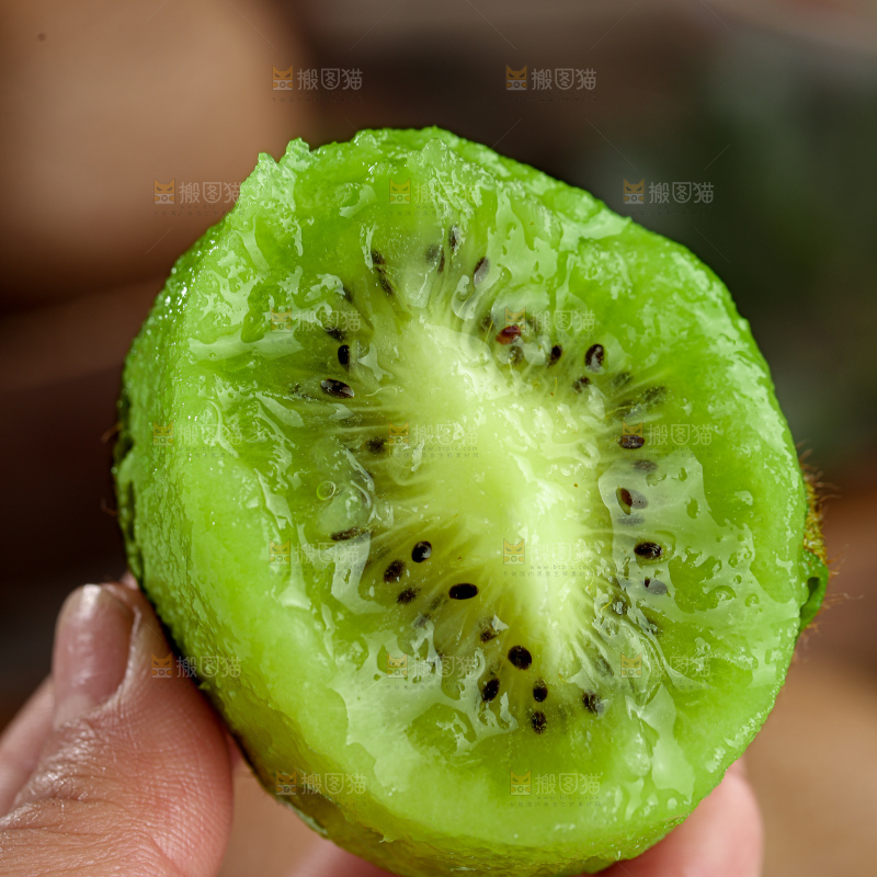 徐香猕猴桃
