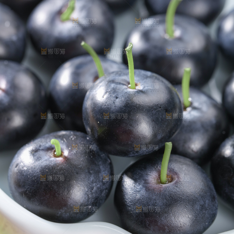 带杆蓝莓