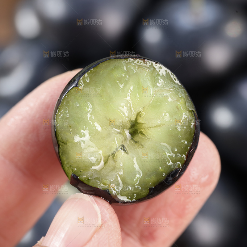 带杆蓝莓