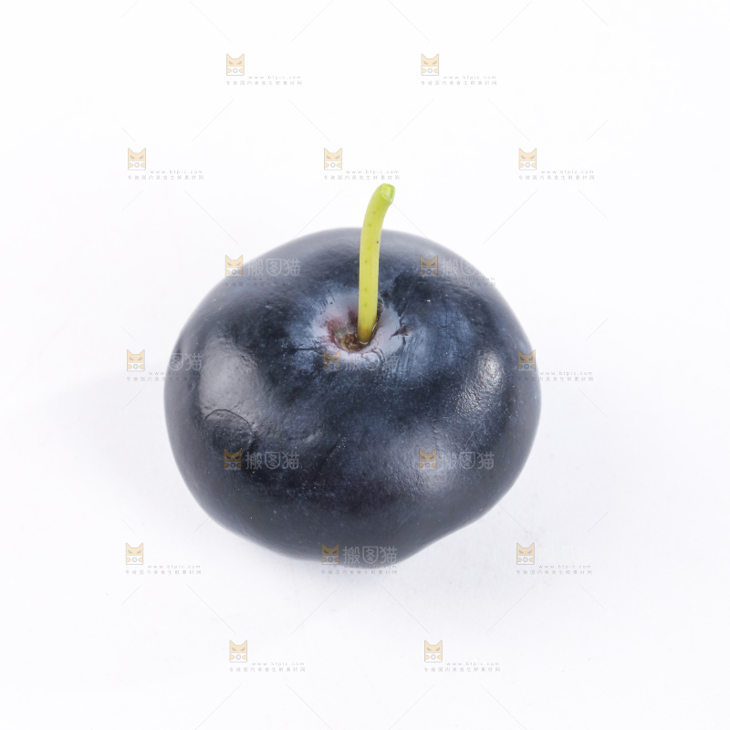 带杆蓝莓