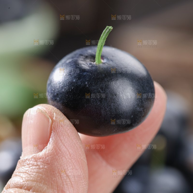 带杆蓝莓
