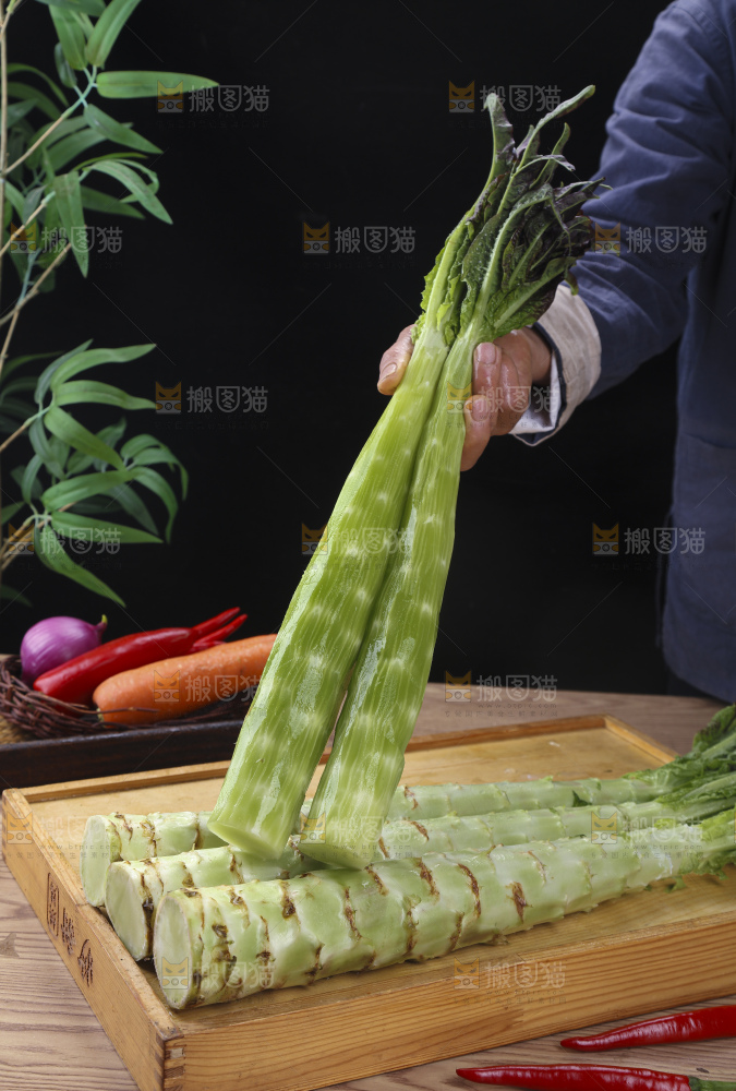 紫叶莴笋