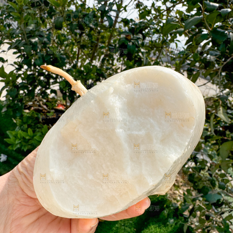 凉薯 地瓜