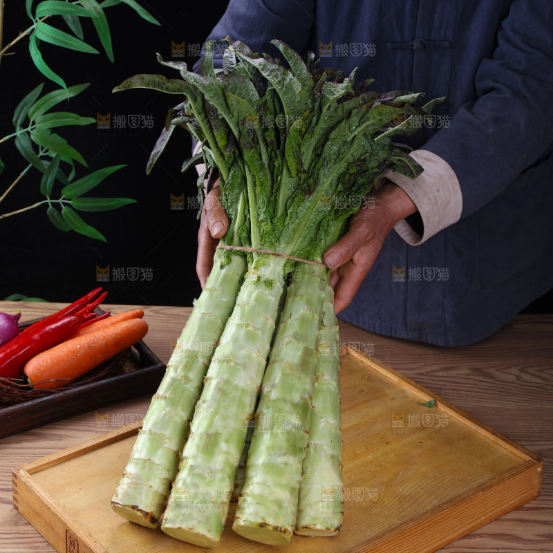 紫叶莴笋