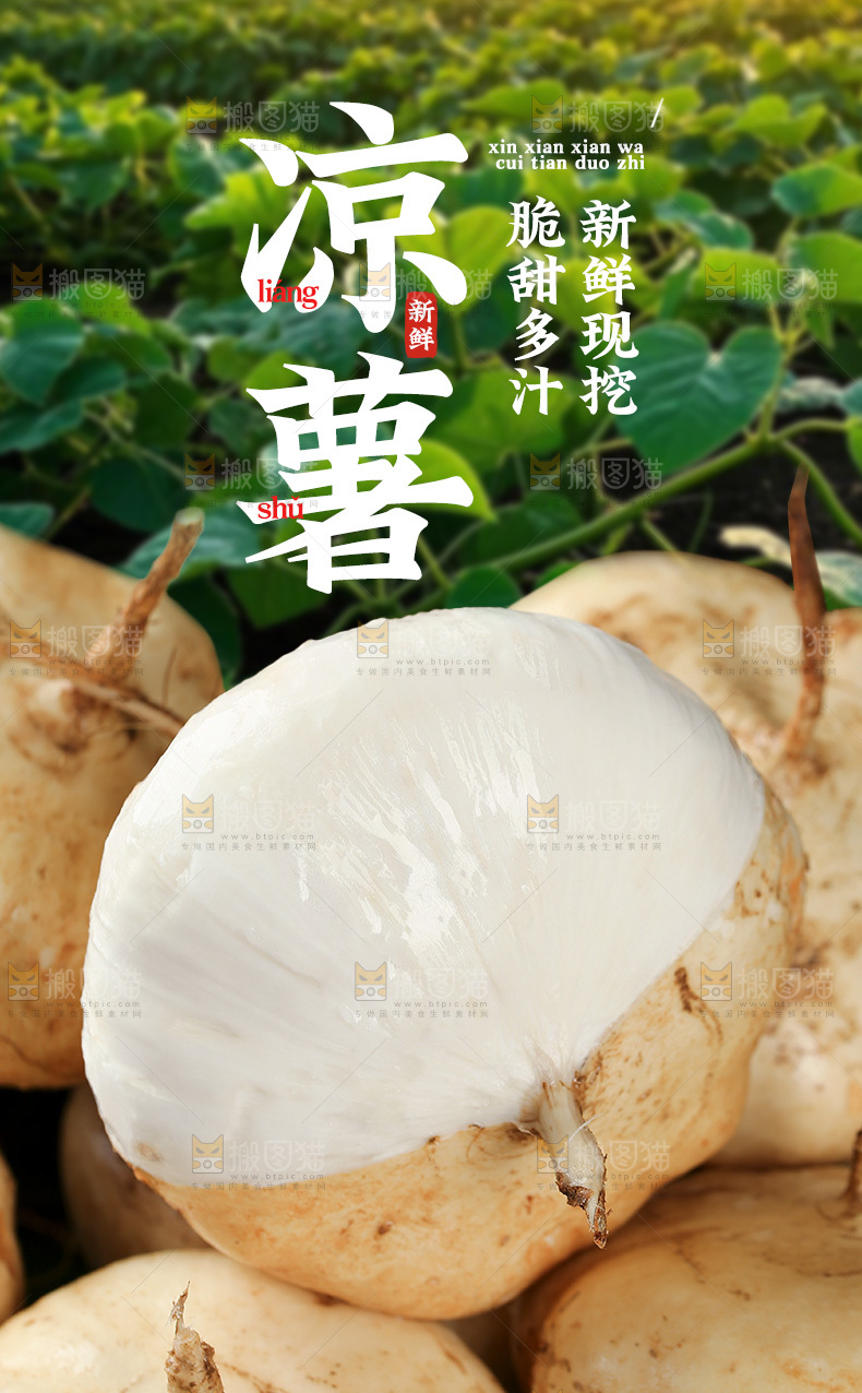 凉薯详情页