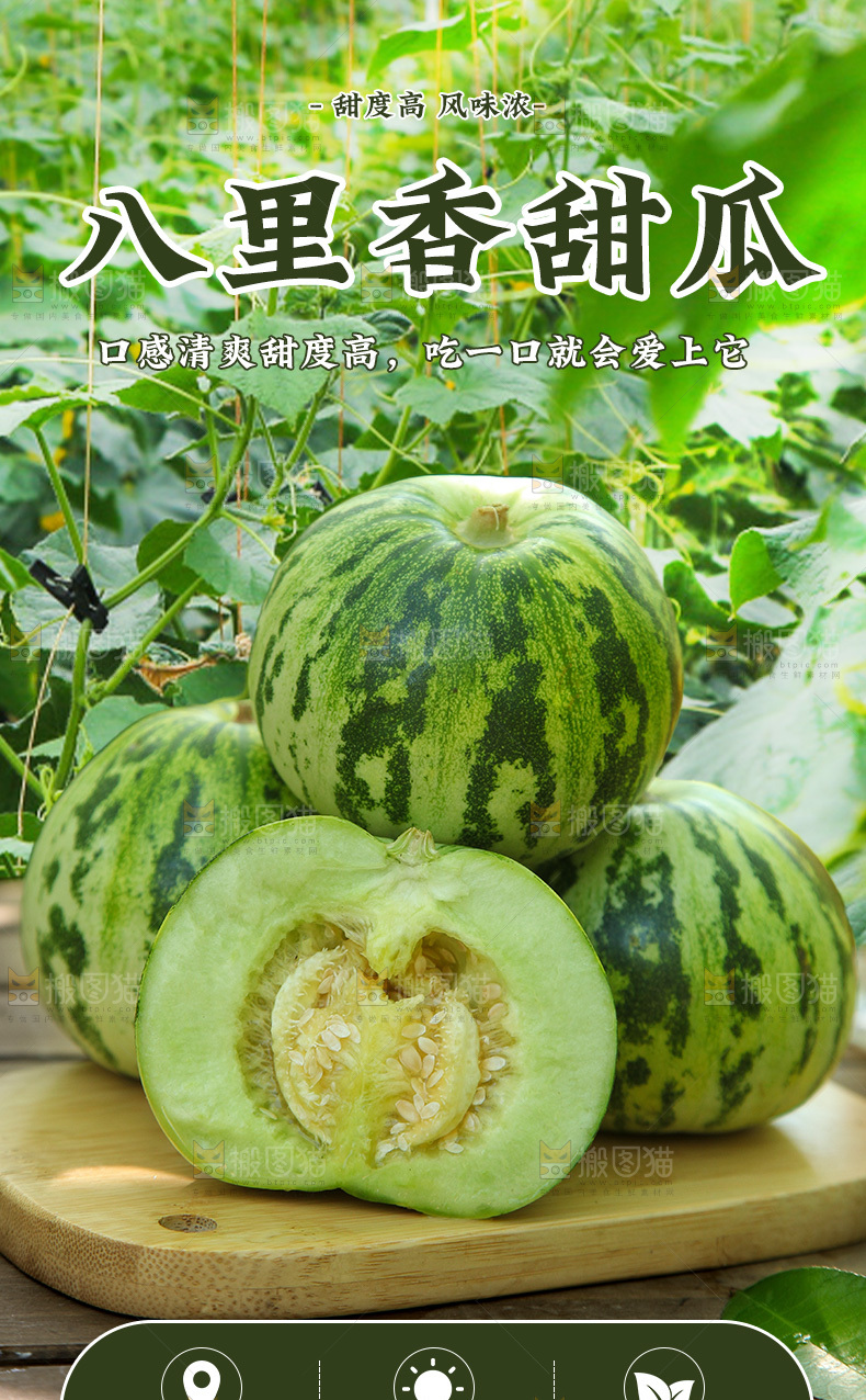 花蕾甜瓜详情页