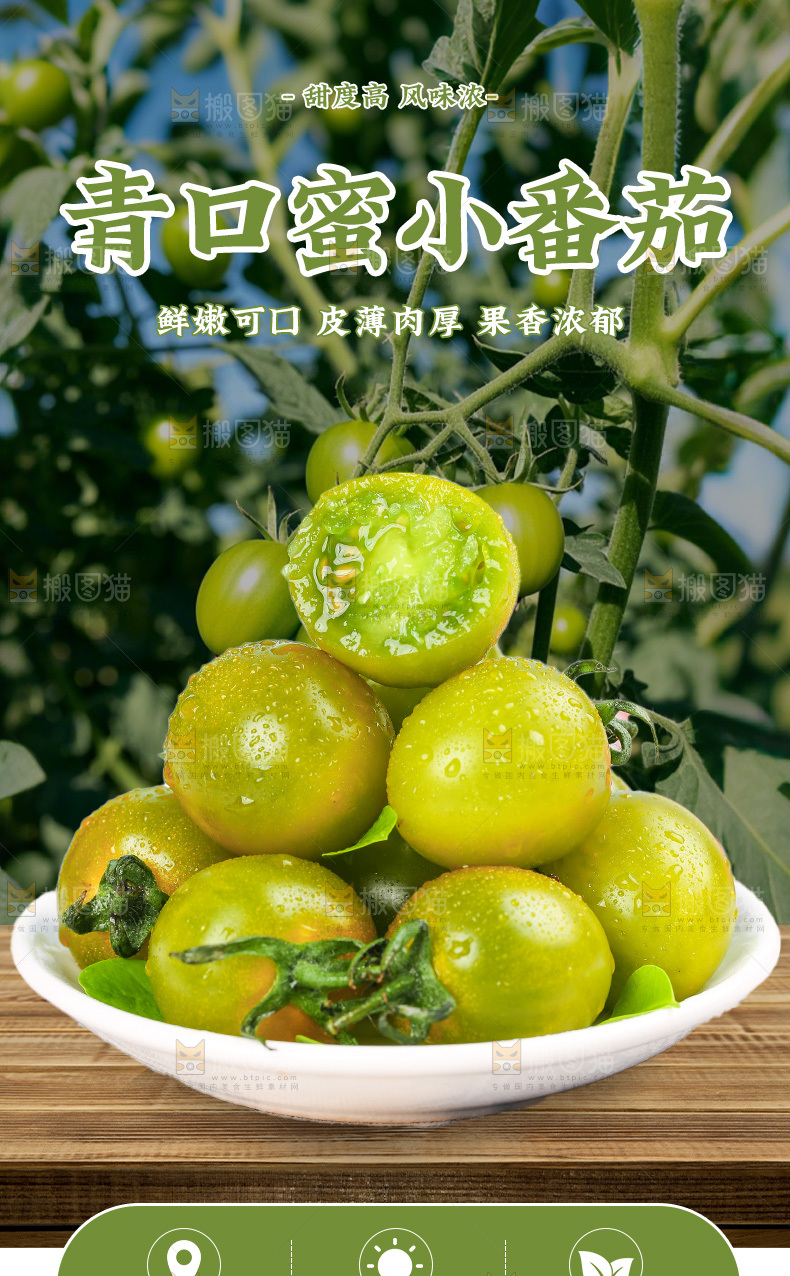 青口蜜小番茄详情页