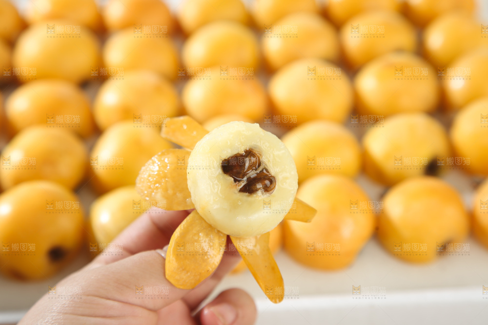 白玉枇杷