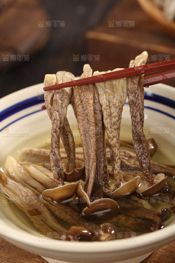 鹿茸菇