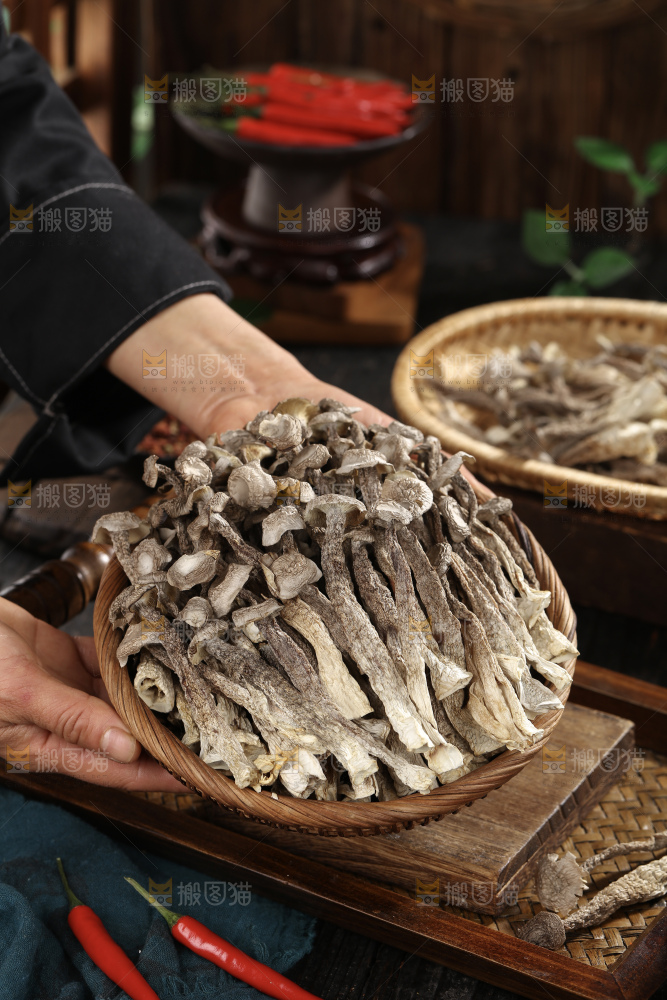 鹿茸菇