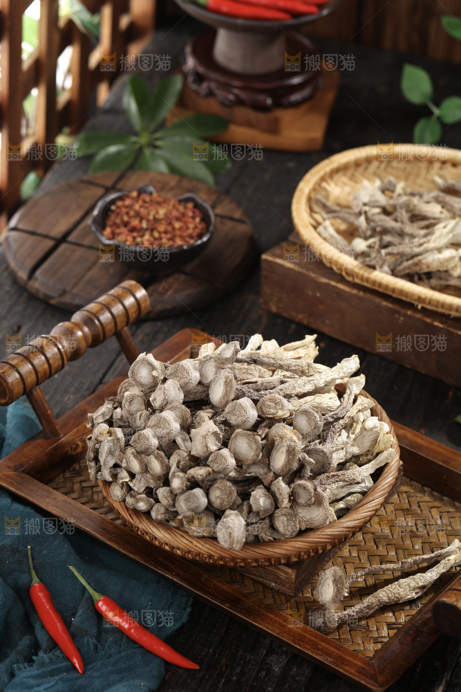 鹿茸菇