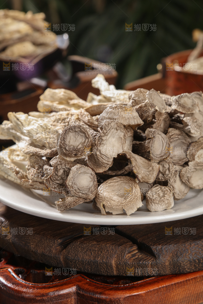 鹿茸菇